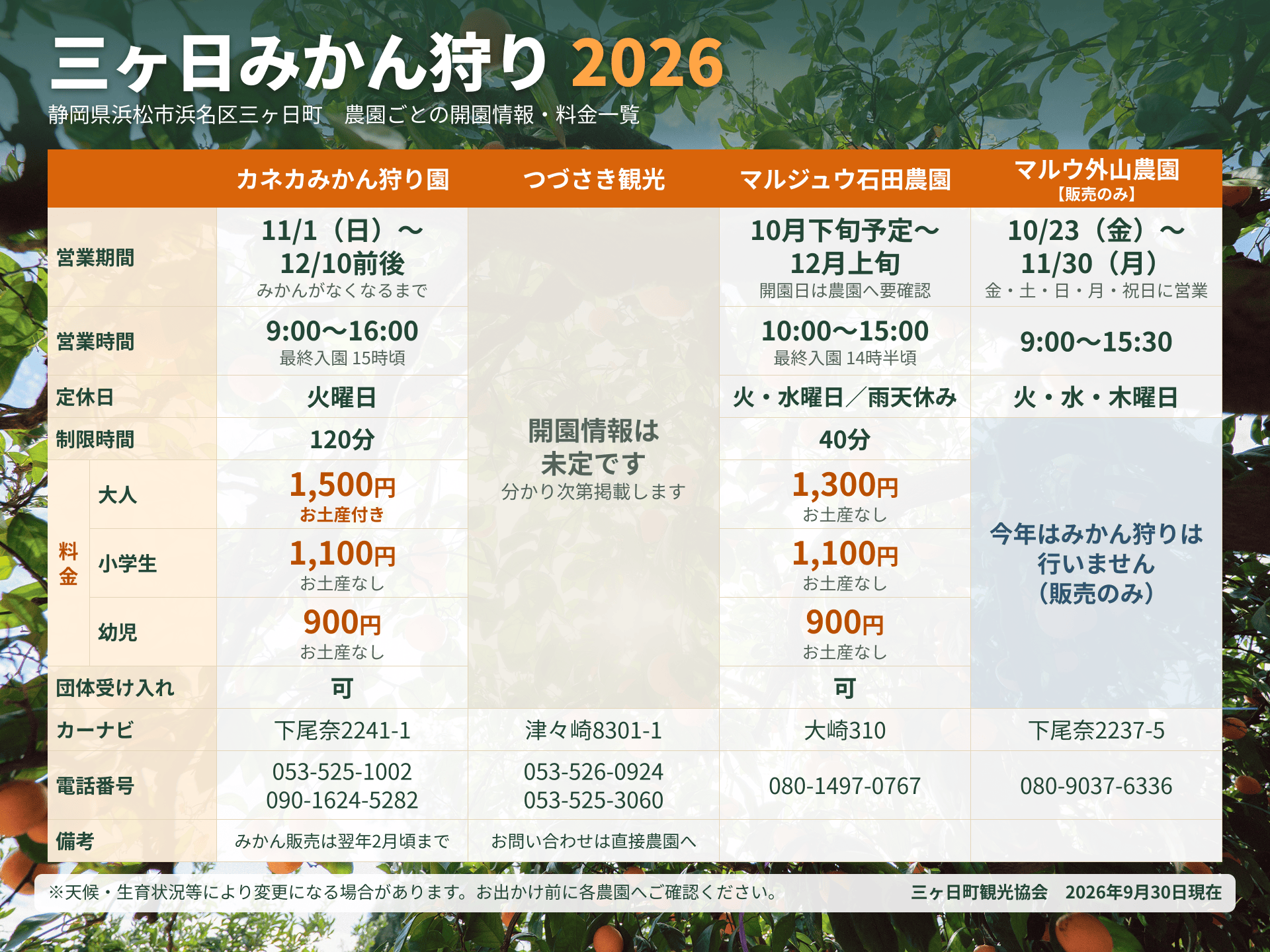 2026年三ヶ日みかん狩り情報（農園ごとの開園情報・料金一覧）